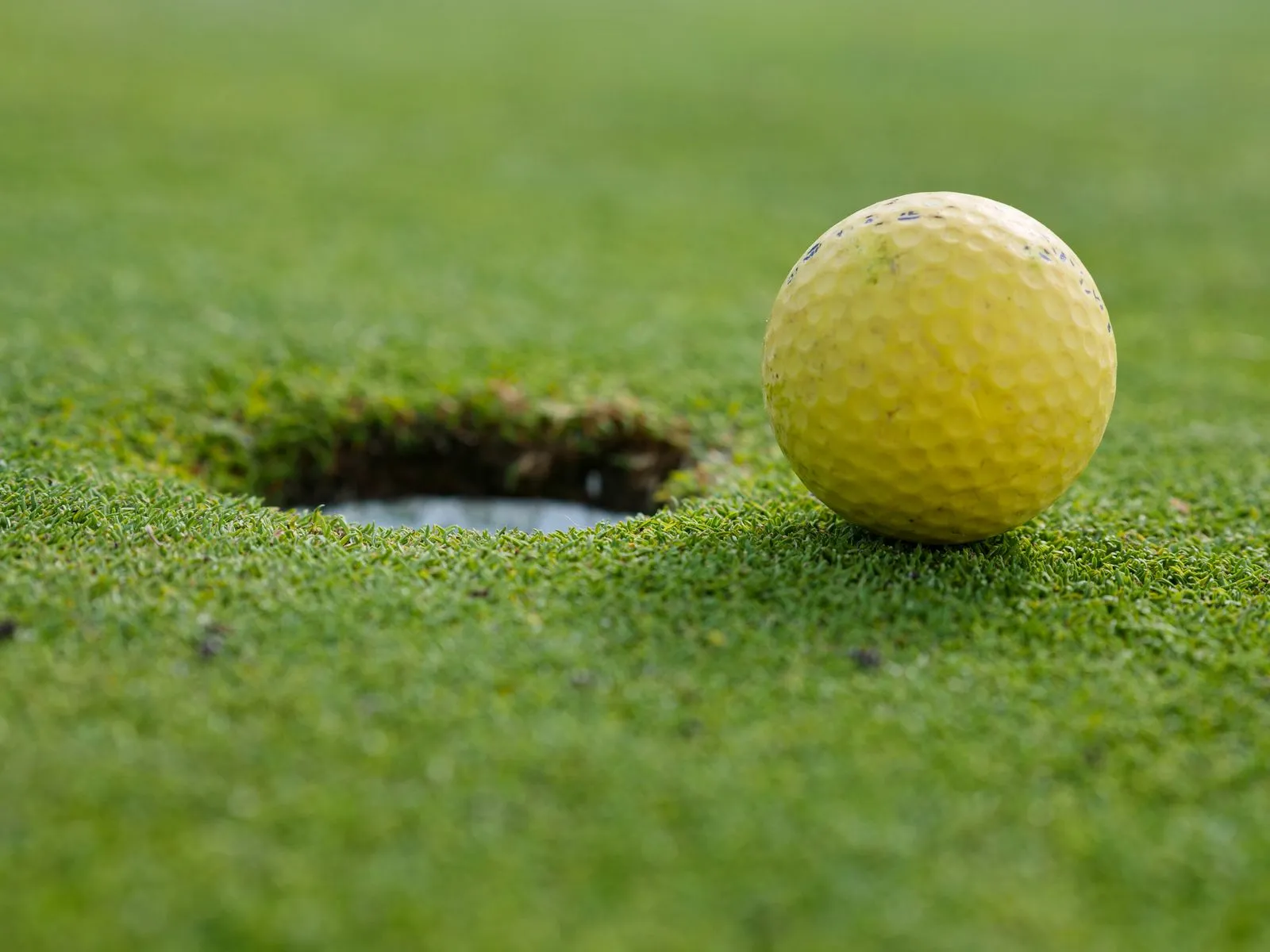 Blacklight Mini Golf for Families
